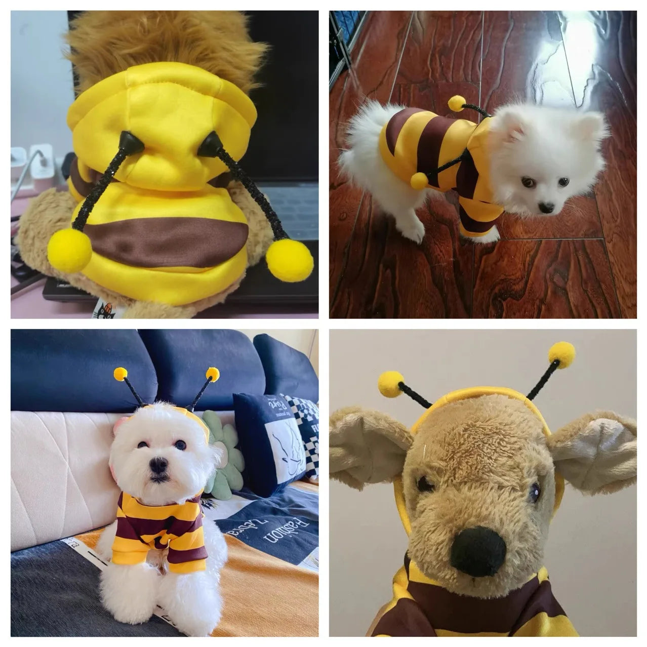 1PCS Dog Clothes For Autumn And Winter Schnauzer Teddy Small Puppy Cat Pet Hoodie Bee Transformation Suit - Pup Confort Store