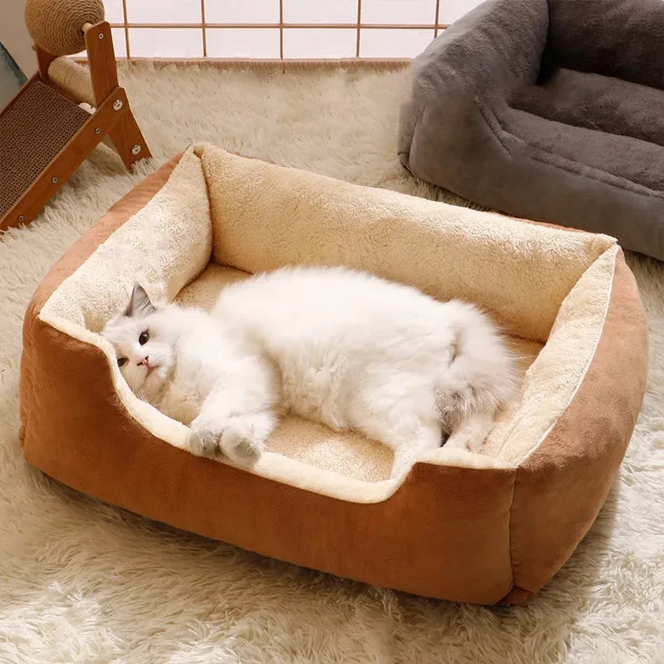 Bed for Cats Pet Products Cushions Kitten Goods Accessories Dog All Houses Supplies Things Accessory Habitats Basket House Beds - Pup Confort Store