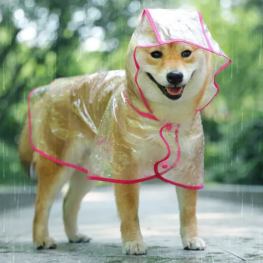 Transparent Hooded Dog Raincoat – Stay Dry, Look Cute, but I did use your description - Pup Confort Store