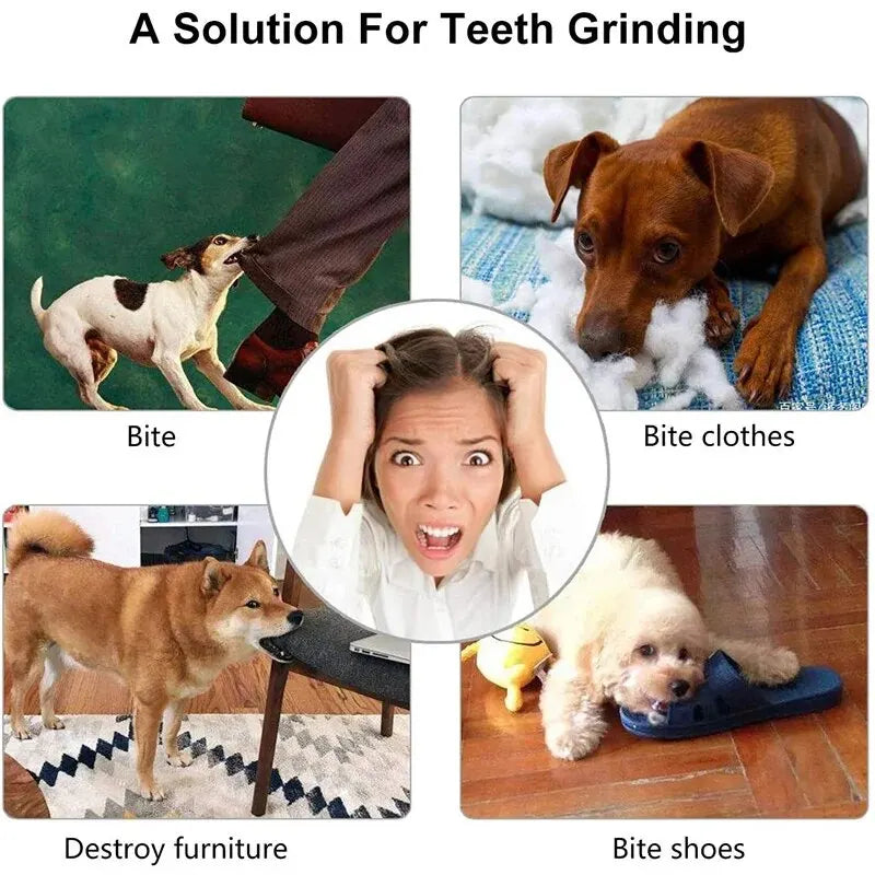 Dog Toy Ball, Nontoxic Bite Resistant Toy Ball for Pet Dogs Puppy Cat, Dog Pet Food Treat Feeder Chew Tooth Cleaning Ball - Pup Confort Store