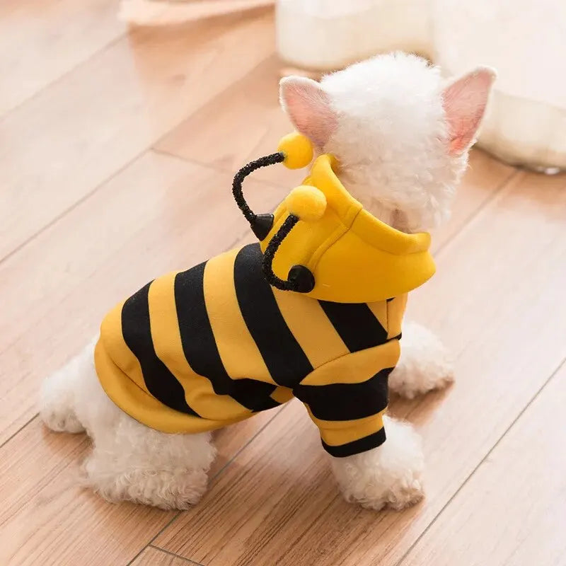 1PCS Dog Clothes For Autumn And Winter Schnauzer Teddy Small Puppy Cat Pet Hoodie Bee Transformation Suit - Pup Confort Store