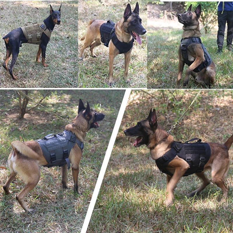 Tactical Dog Harness & Leash Set β Built for Control & Adventure - Pup Confort Store