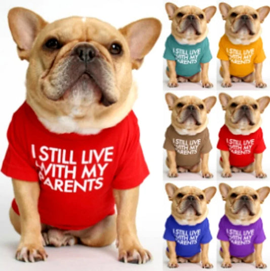 Wholesale Doggy Outfits Fashion Designer Summer Thin Shirt Apparel Pets Dog Clothes ForTeddy Small Medium Dog Clothing - Pup Confort Store