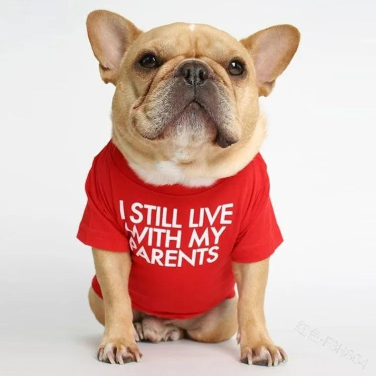 Wholesale Doggy Outfits Fashion Designer Summer Thin Shirt Apparel Pets Dog Clothes ForTeddy Small Medium Dog Clothing - Pup Confort Store