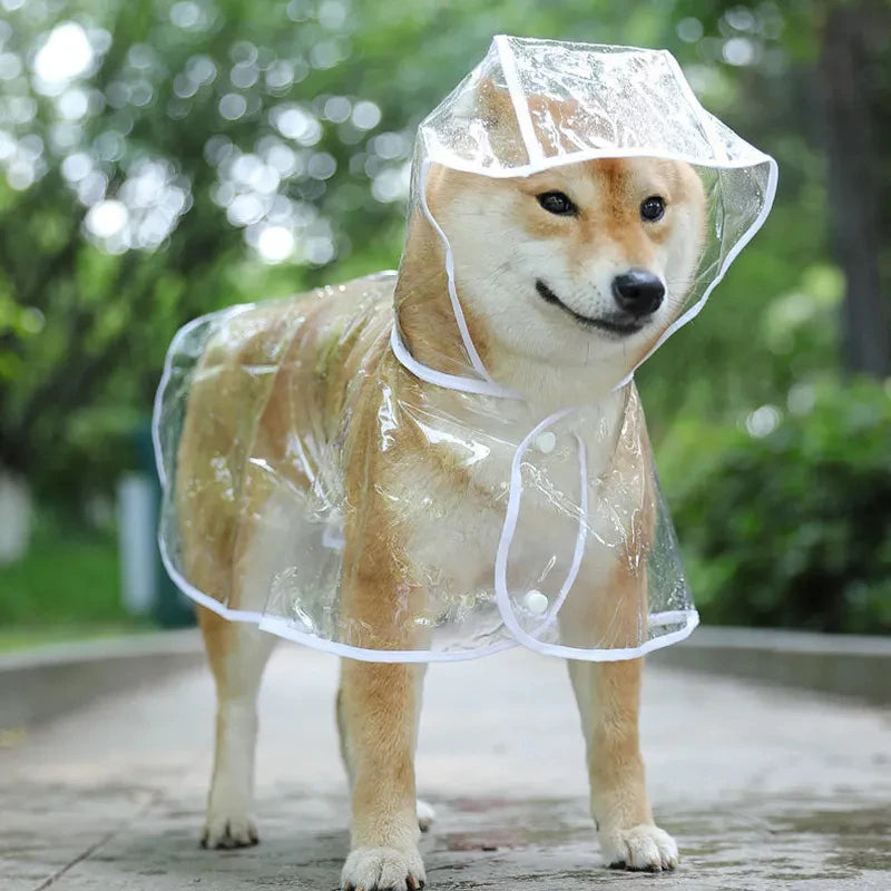 Transparent Hooded Dog Raincoat – Stay Dry, Look Cute, but I did use your description - Pup Confort Store