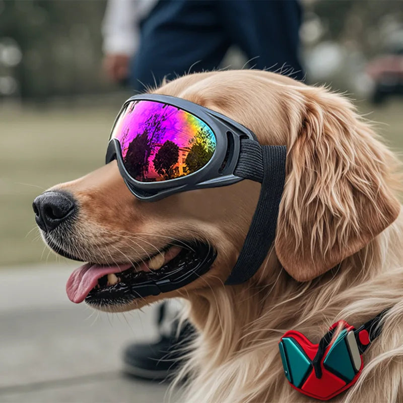 All-Black Adjustable Dog Goggles – UV Protection & Style - Pup Confort Store