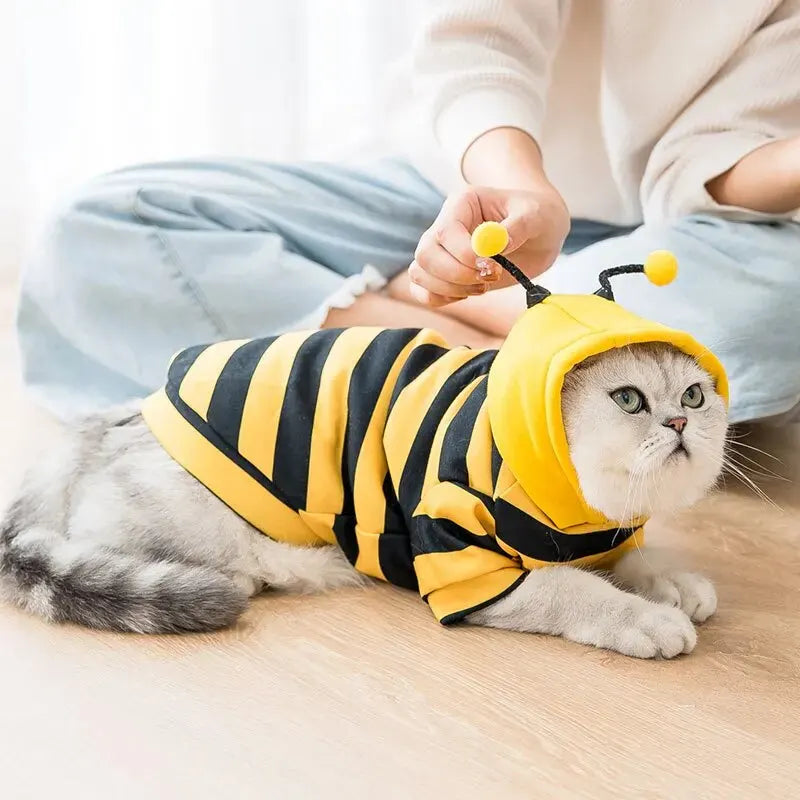 1PCS Dog Clothes For Autumn And Winter Schnauzer Teddy Small Puppy Cat Pet Hoodie Bee Transformation Suit - Pup Confort Store