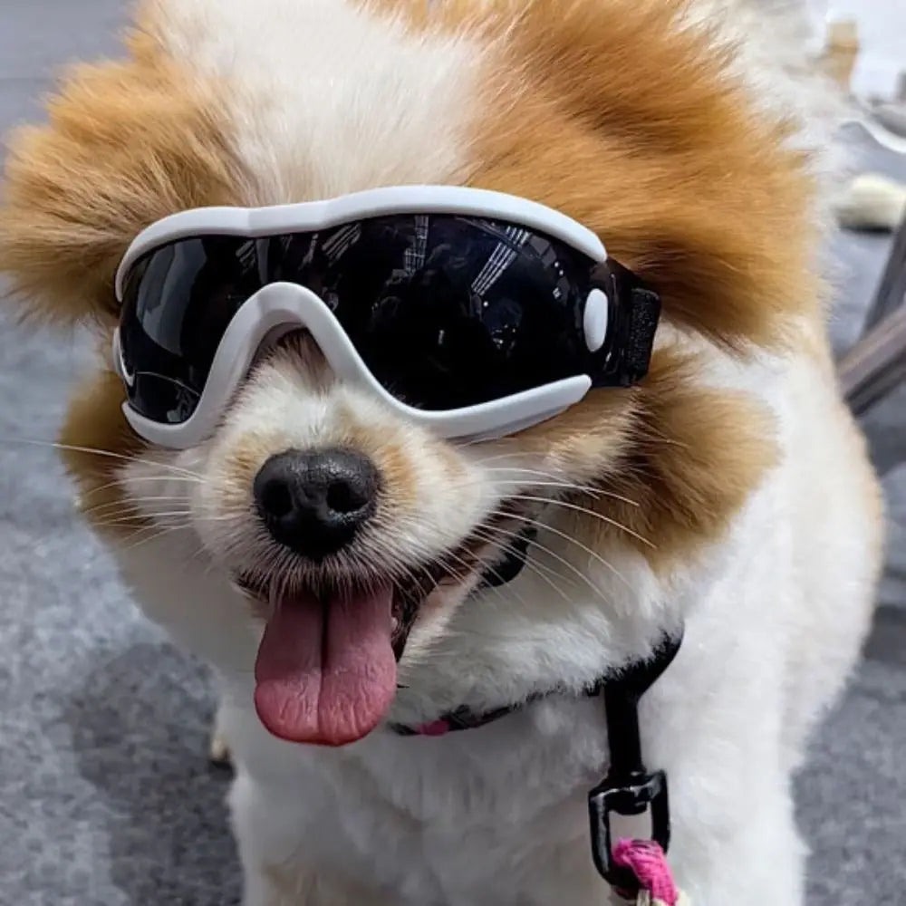 UV Dog Goggles – Stylish Eye Protection for Travel & Play - Pup Confort Store