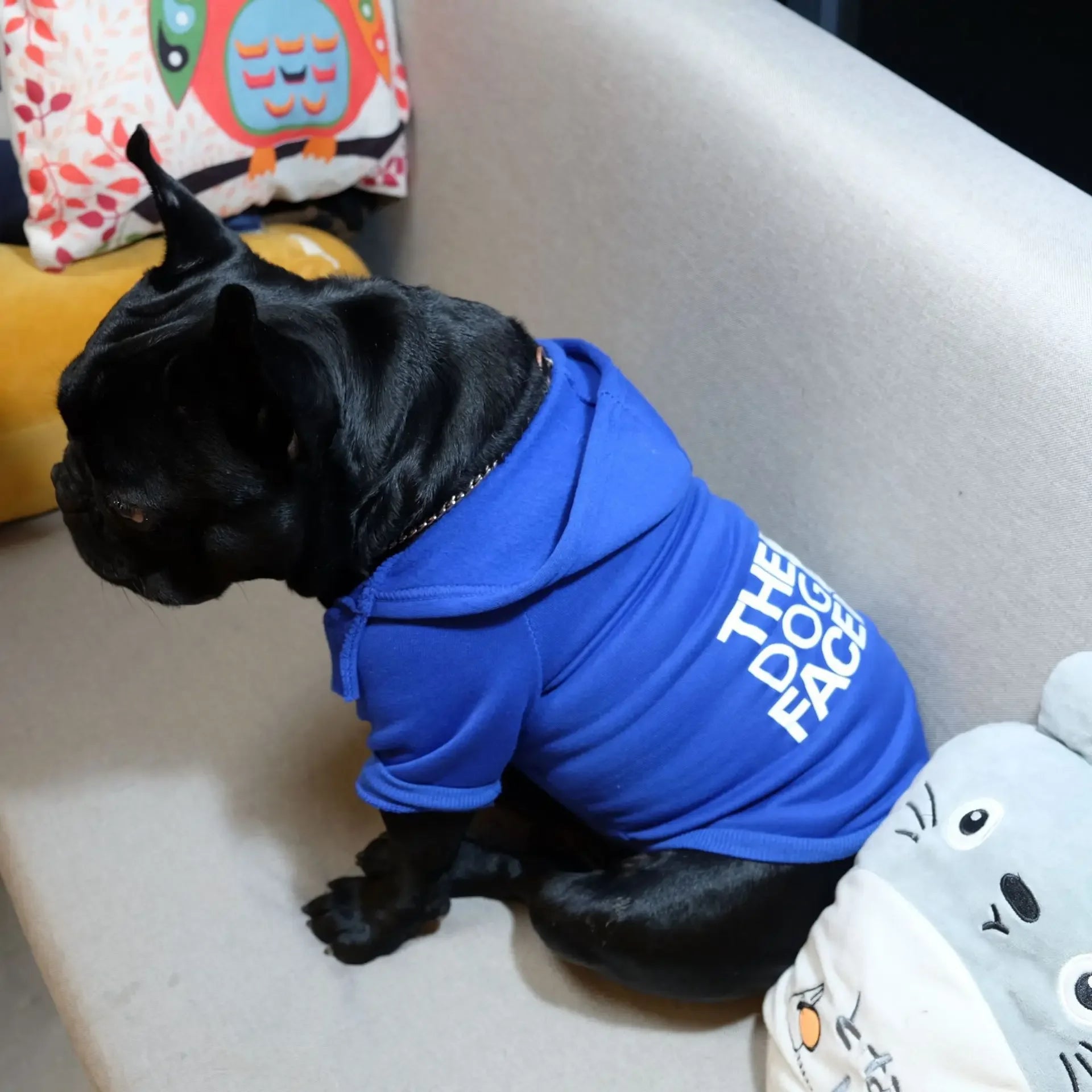 Pet Dog Hoodies Autumn and Winter Season Large Dog Clothes Dog Face Text Pattern French Bulldog Labrador Jacket Clothing - Pup Confort Store