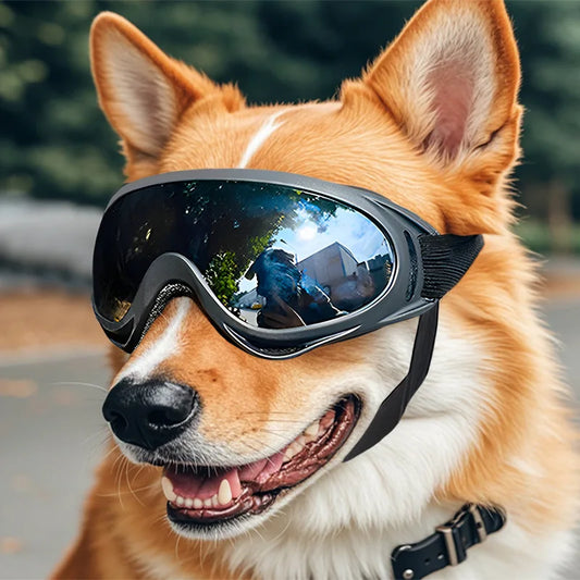All-Black Adjustable Dog Goggles – UV Protection & Style - Pup Confort Store