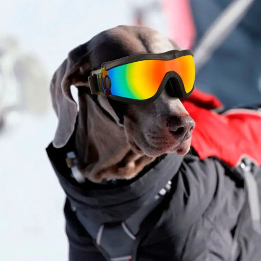 UV Dog Goggles – Stylish Eye Protection for Travel & Play - Pup Confort Store