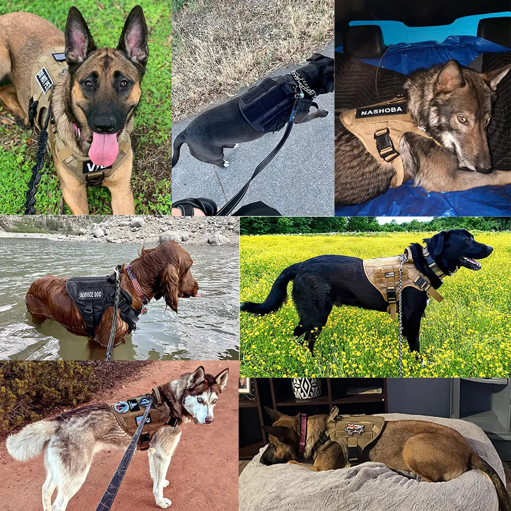 Tactical Dog Harness – Secure, Adjustable & Field-Ready - Pup Confort Store